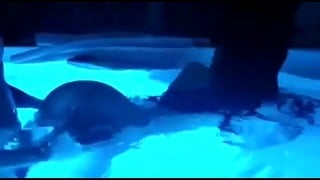 Giselle Montes gets fucked anally in the pool